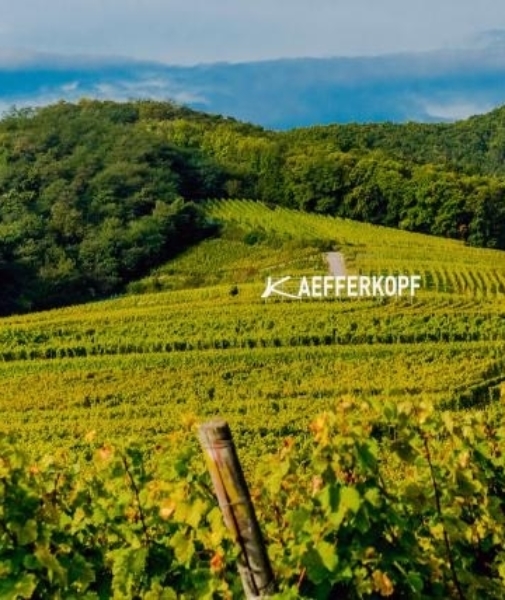 Kaefferkopf site terroir