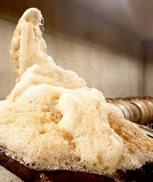 fermentation_barrique