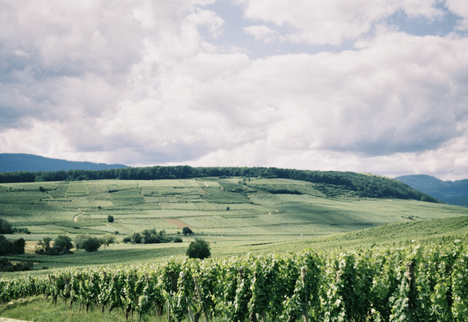 Nos rendez-vous de ce printemps 2025