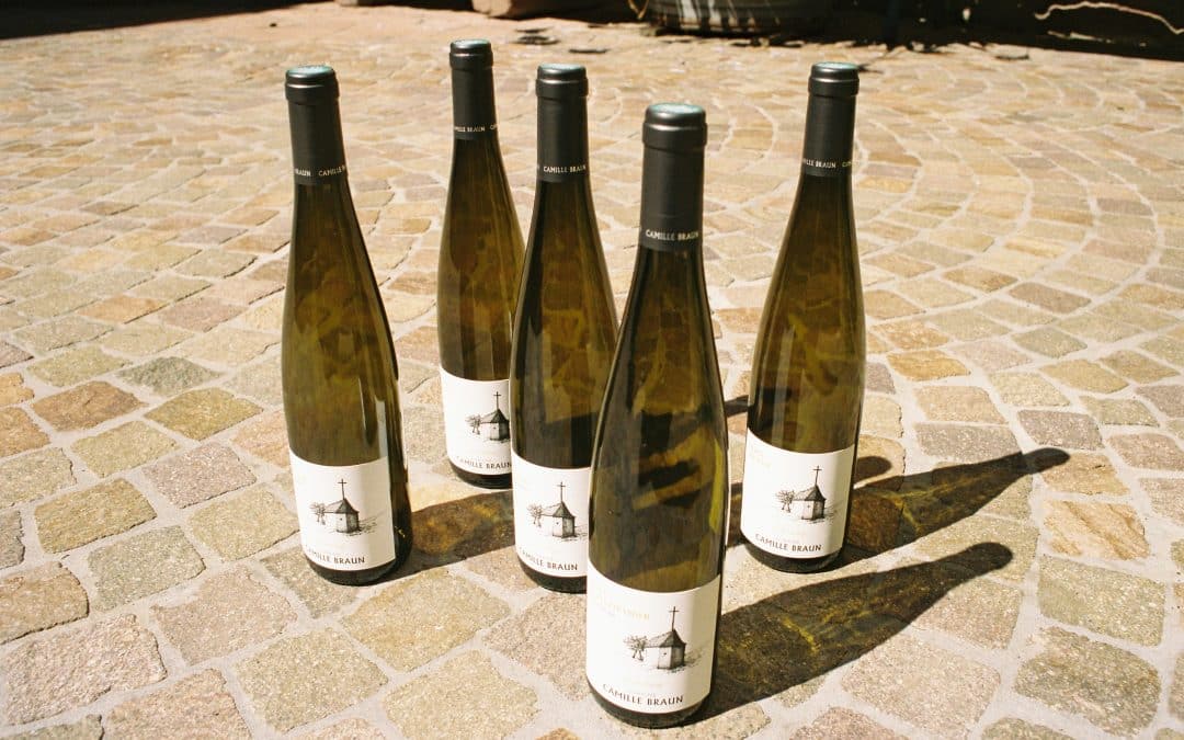 92/100 – Bollenberg Pinot noir 2023 – La Revue des Vins de France