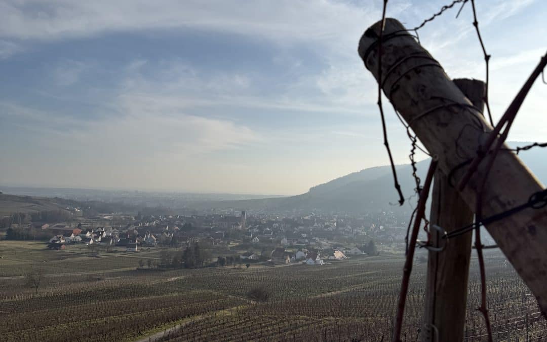 L&rsquo;année 2025 débute au domaine
