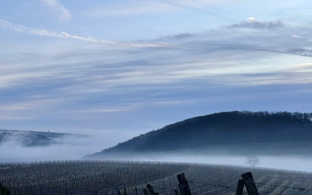 Horaires de fin d’année 2025