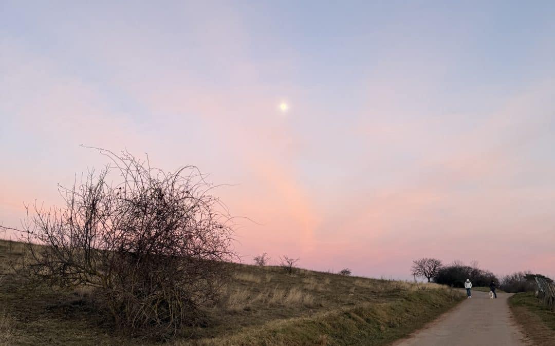 Venez fêter l&rsquo;été ce samedi 21 Juin