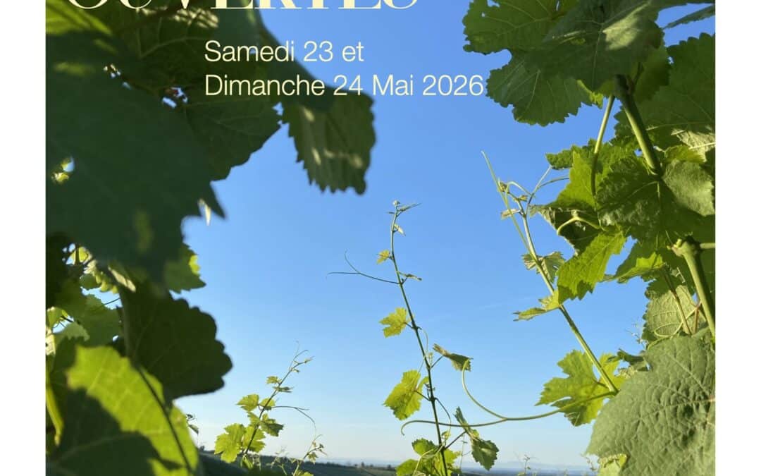 Portes Ouvertes au Domaine Camille Braun – 23 & 24 mai 2026 à Orschwihr